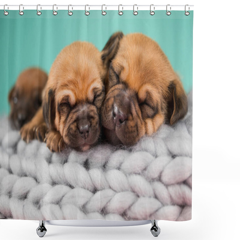 Personality  Pet, Dog Puppy, Sleeps On A Blanket Shower Curtains