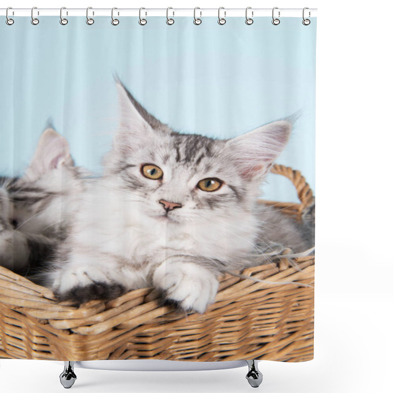 Personality  Maine Coon Kittens In Basket Shower Curtains