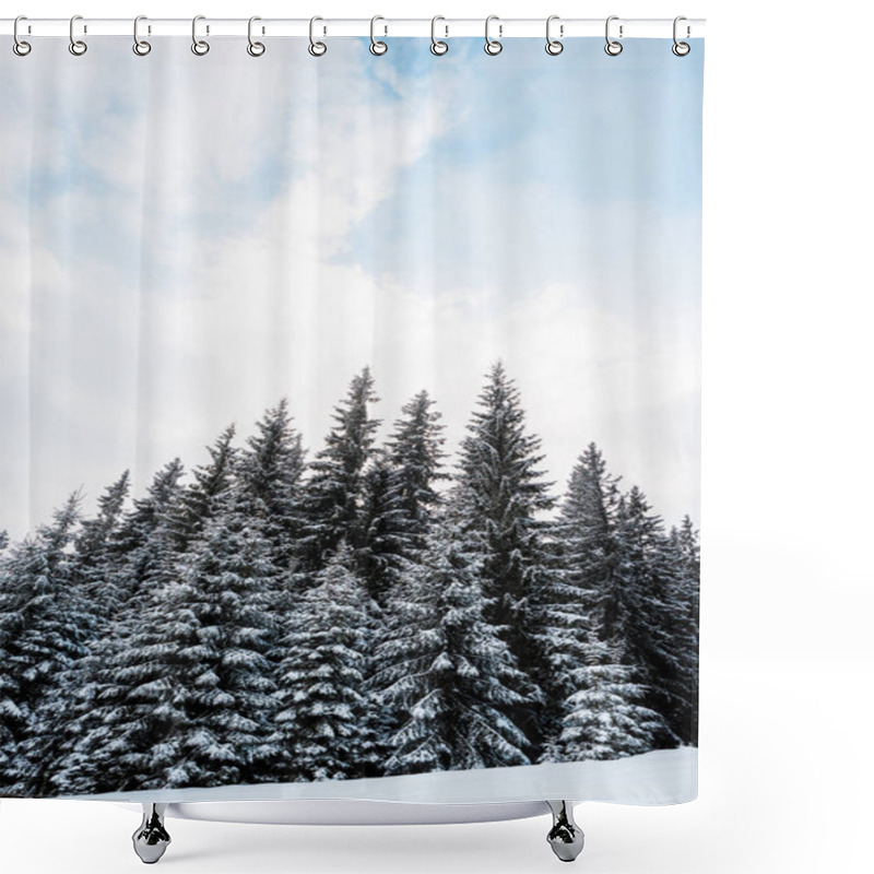 Personality  Low Angle View Of Pine Forest With Tall Trees Covered With Snow On Hill Shower Curtains