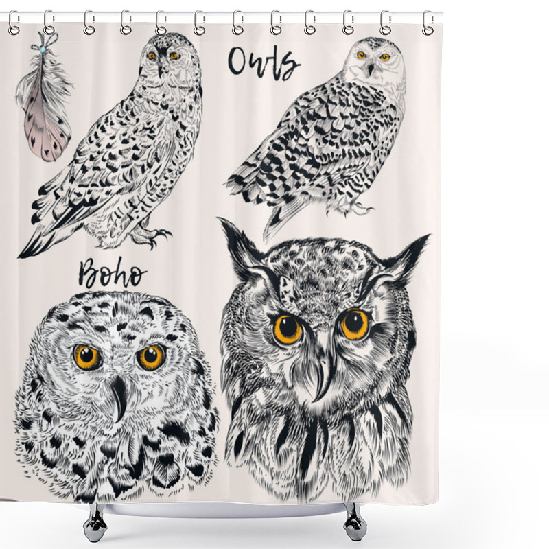 Personality  Collection Of Vector Hand Drawn Owls In Detiled Style. Hipster F Shower Curtains