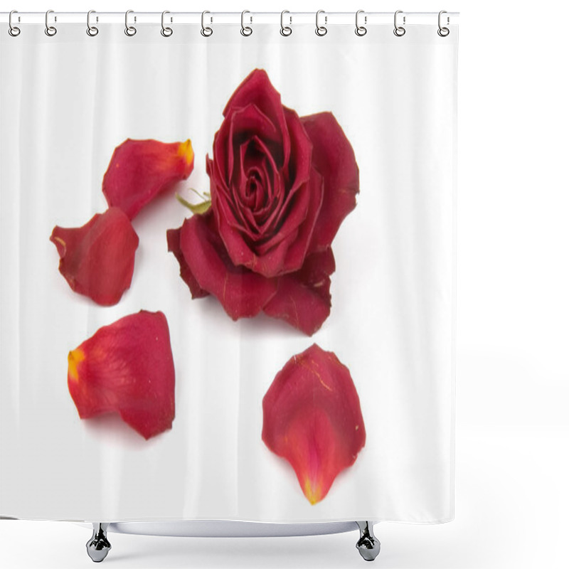 Personality  Red Rose Petals Shower Curtains