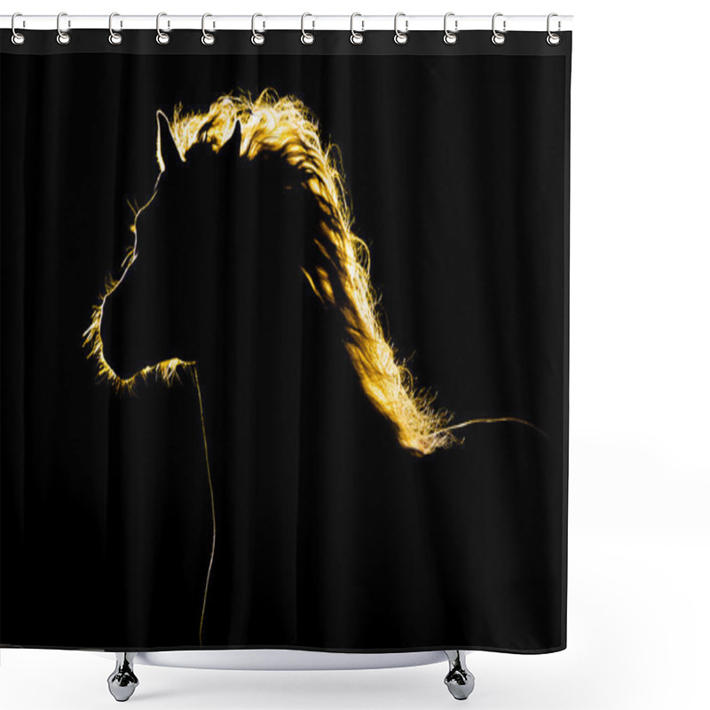 Personality  Horse Silhouette Isolated Shower Curtains