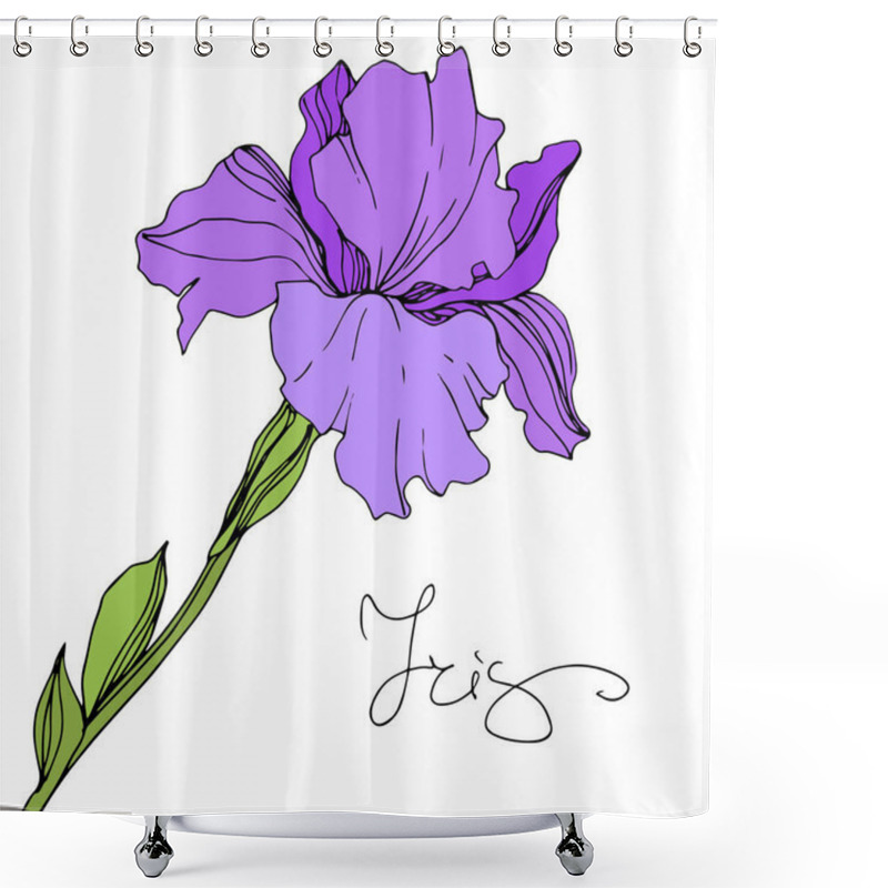 Personality  Vector Purple Isolated Iris Illustration On White Background Shower Curtains