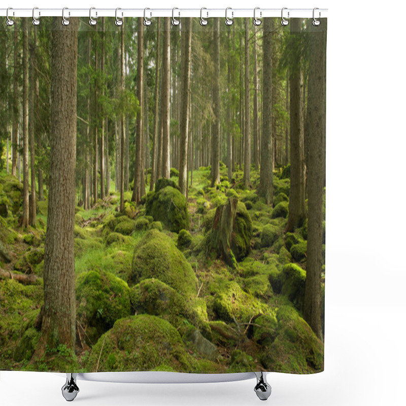 Personality  Forest Shower Curtains