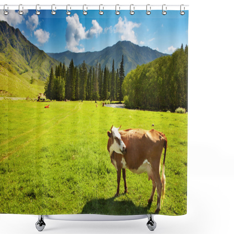 Personality  Grazing Cow Shower Curtains