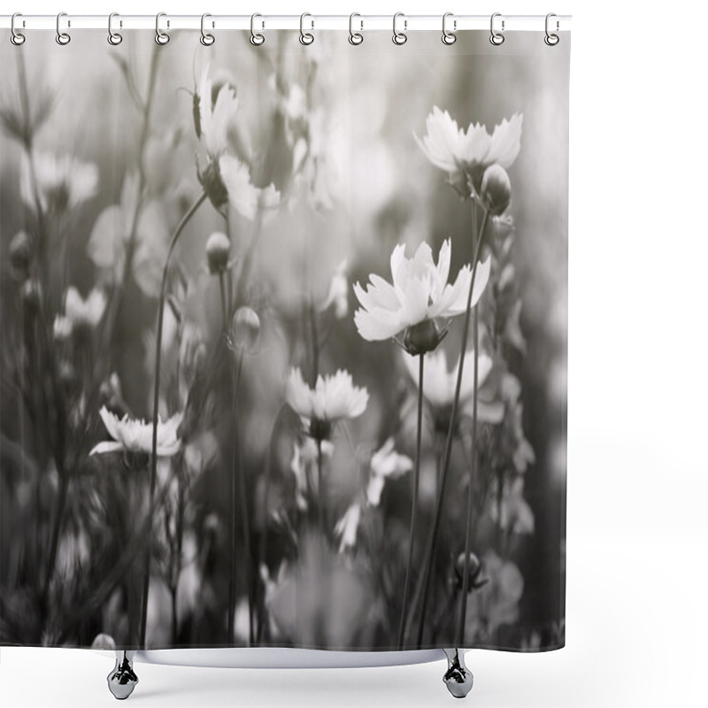 Personality  Black And White Photo, Flowers In A Field Shower Curtains