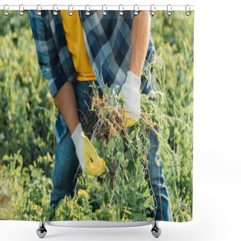 Personality  Partial View Of Farmer In Plaid Shirt And Gloves Holding Weeds While Working In Field Shower Curtains