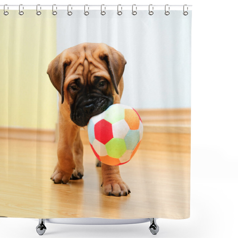 Personality  Little Puppy Bullmastiff Shower Curtains