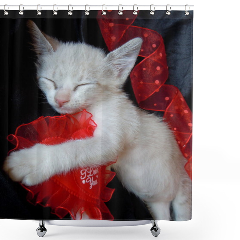 Personality  Pet's Valentine's Dream Shower Curtains