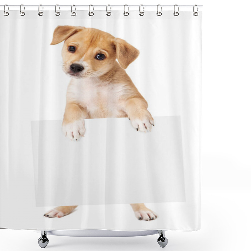 Personality  Yellow Puppy Carrying Blank Sign Shower Curtains