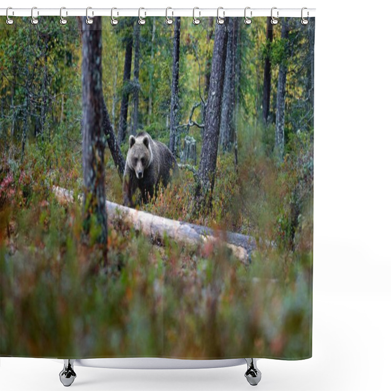 Personality  Bear Hidden In Yellow Forest Shower Curtains