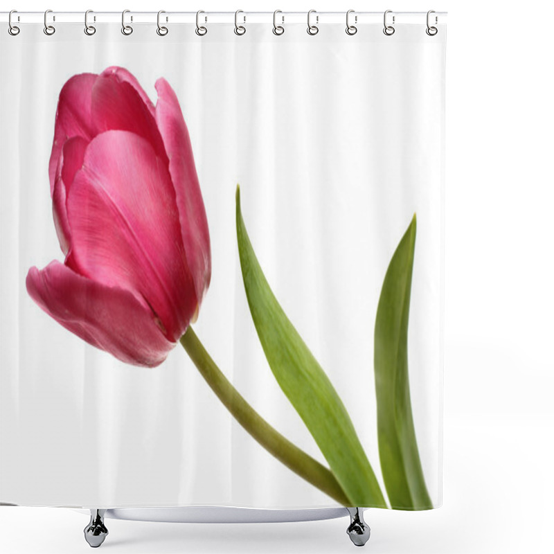 Personality  Red Blossom Tulip Close-up Shower Curtains