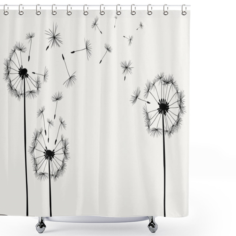 Personality  Dandelions Shower Curtains