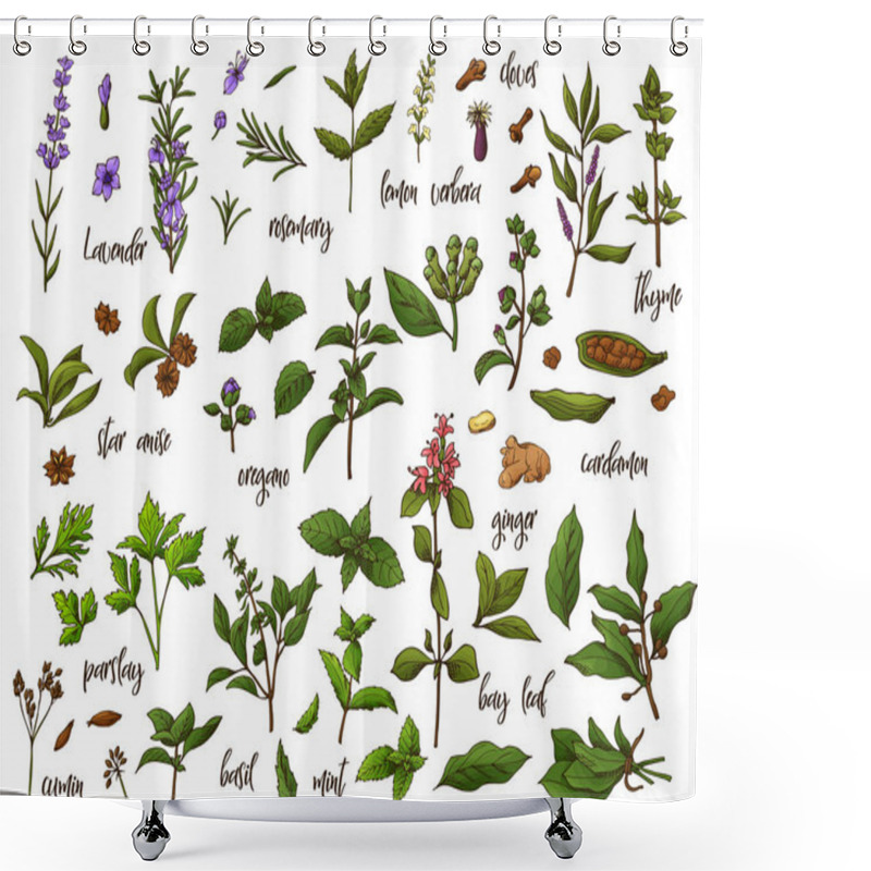 Personality  Hand Drawn Herbs And Spices. Decorative Background With Sketch Elements. Vector Illustration Shower Curtains