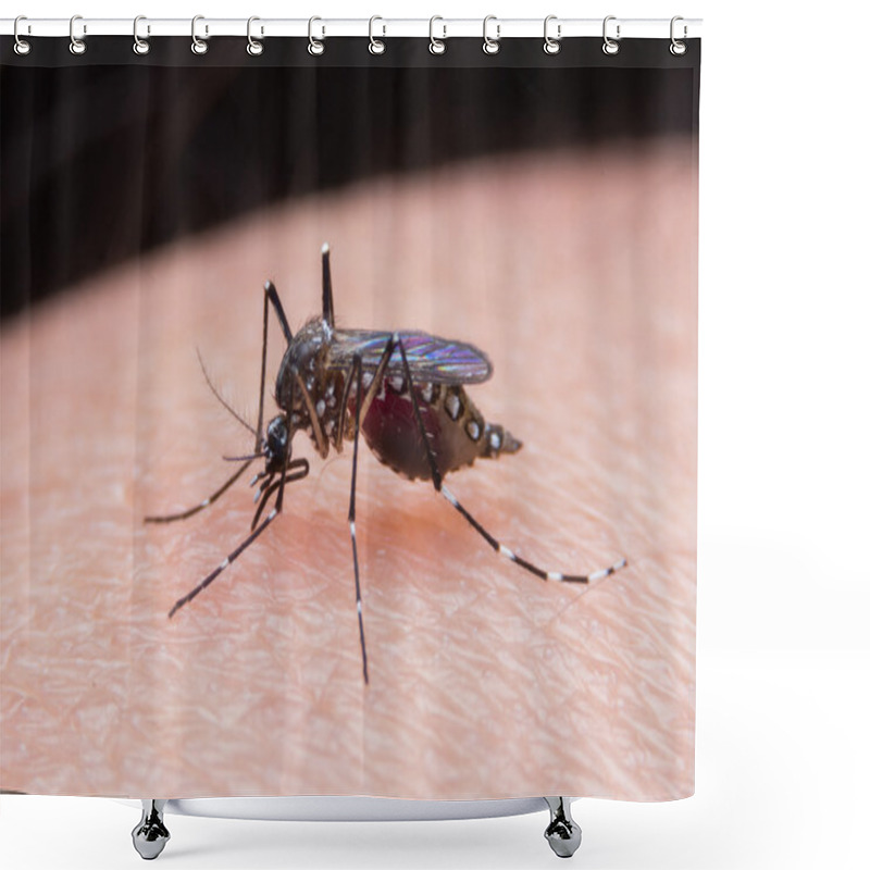 Personality  Close-up Of A Mosquito Sucking Blood Shower Curtains