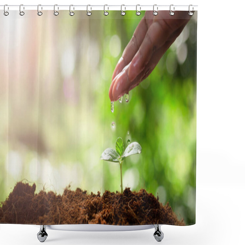 Personality  Earth Day Concept. Drop Water On Hand For Growing Tree. Protect The Environment. Renewable Energy For Future. Global Warming Concept. Sustainable Resources. Shower Curtains