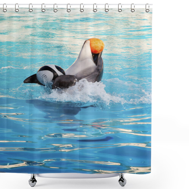 Personality  Dolphine Dolphin Playing Happily Shower Curtains