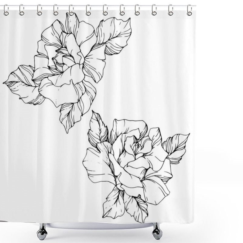 Personality  Vector. Rose Flowers Isolated Illustration Element On White Background. Black And White Engraved Ink Art Shower Curtains