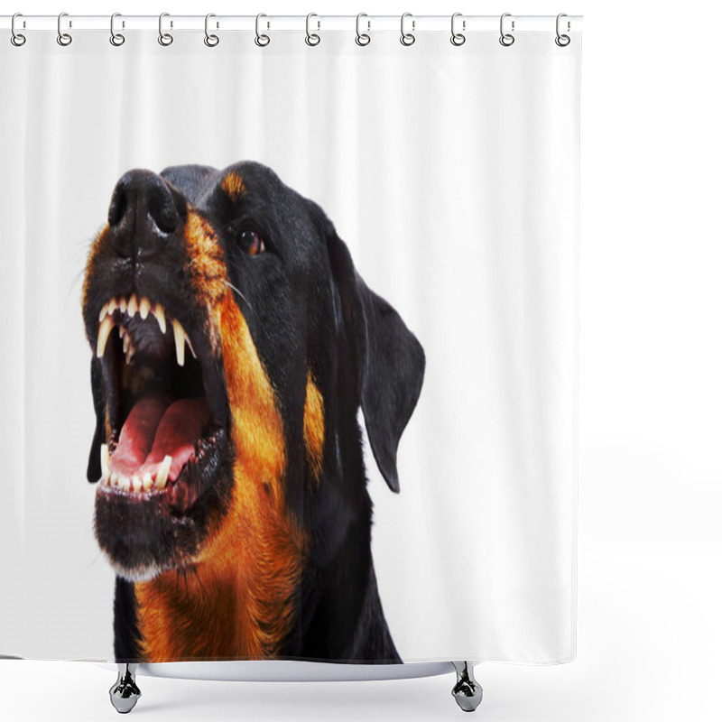 Personality  Black And White Dog Isolated On A Background Shower Curtains