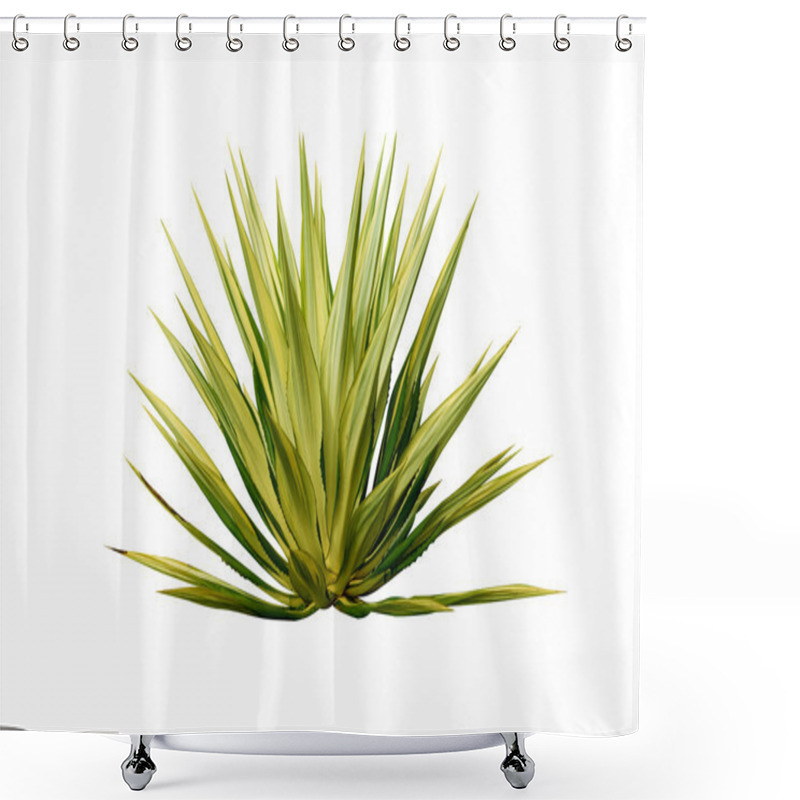 Personality  Agave Plant Isolated On White Background. Shower Curtains