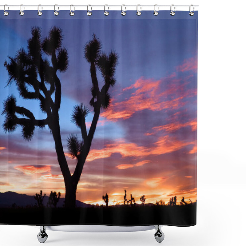 Personality  Mojave Sunset Shower Curtains