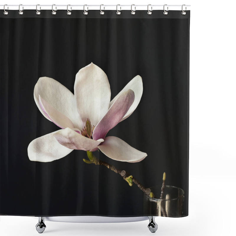 Personality  Magnolia Flowers Shower Curtains