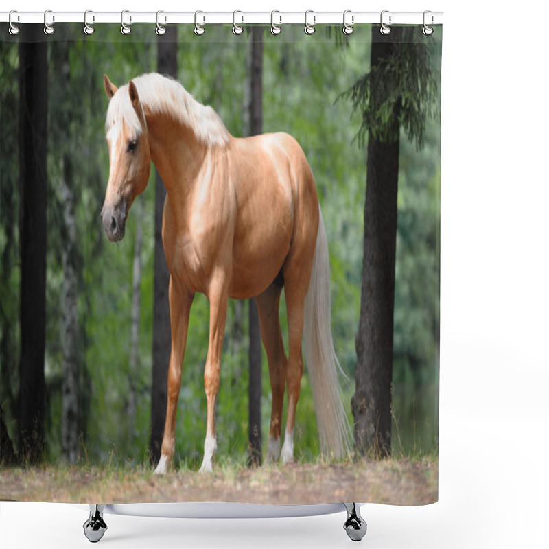 Personality  Beautiful Palomino Horse Stands In The Meadow Shower Curtains