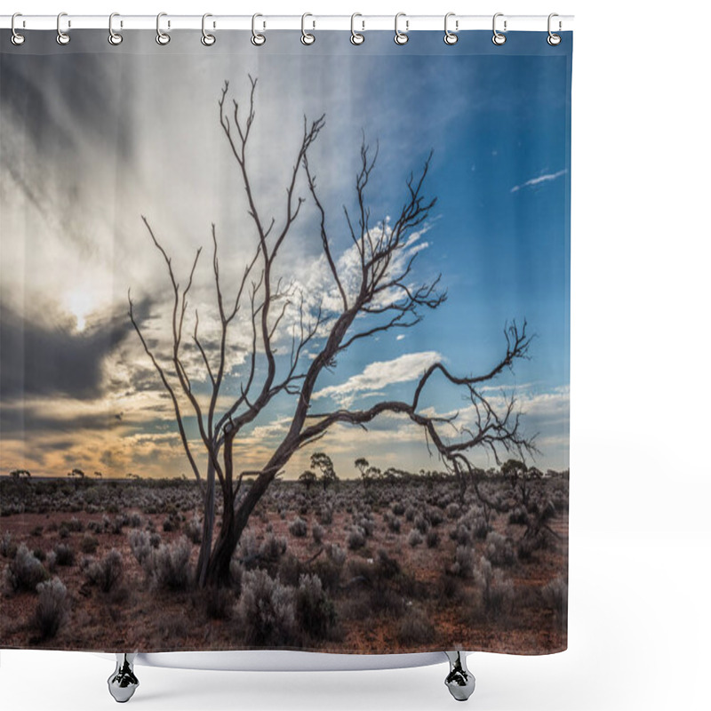 Personality  Australia Dry Tree In Sunset Shower Curtains