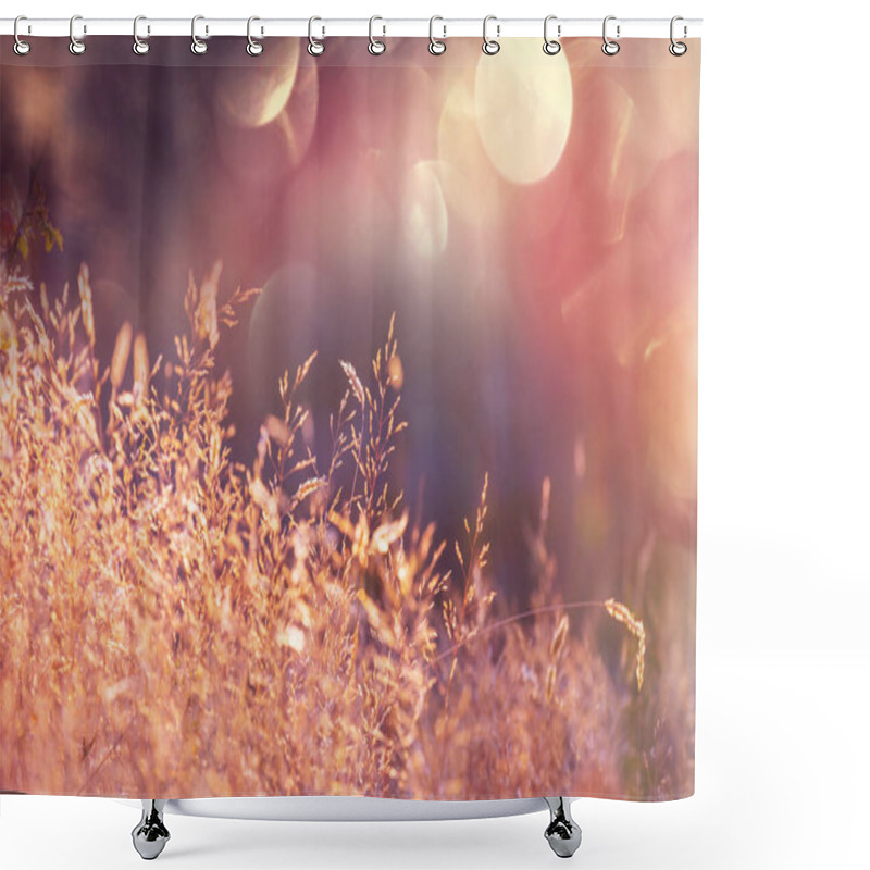 Personality  Sunny Day On The Flowers Meadow. Beautiful Natural Background. Shower Curtains