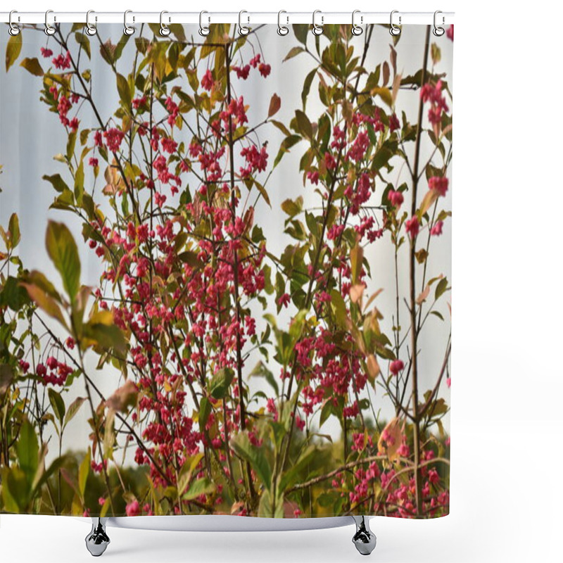 Personality  Spindle Bush Red Tree German Garden In Autumn Shower Curtains