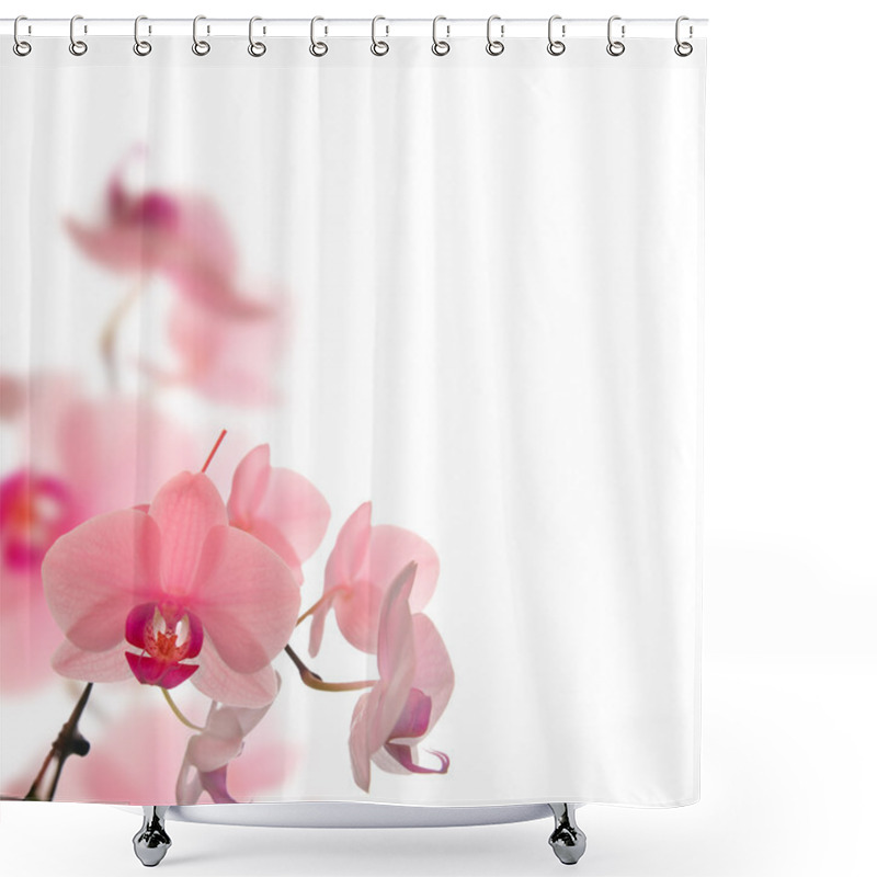 Personality  Spring Blossom Shower Curtains