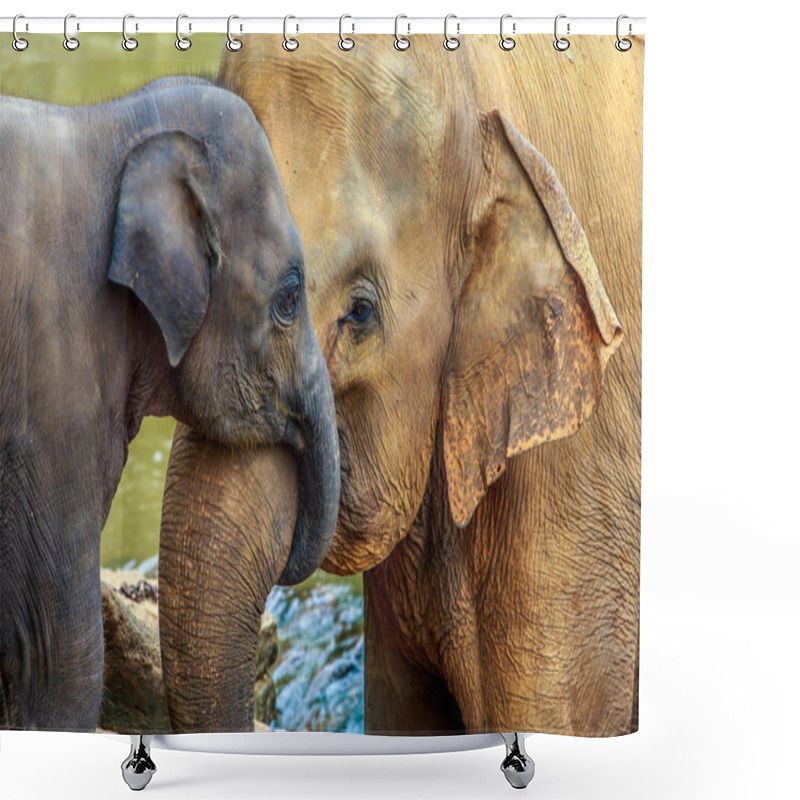 Personality  Elephant And Baby Elephant Shower Curtains