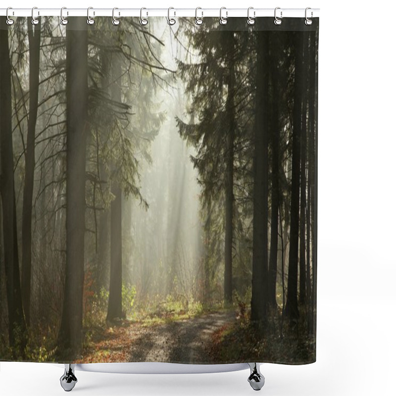 Personality  Misty Coniferous Forest Shower Curtains