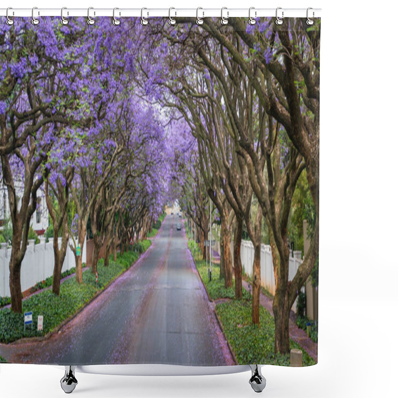 Personality  Tall Jacaranda Trees Lining The Street Of A Johannesburg Suburb In The Afternoon Sunlight, South Africa Shower Curtains