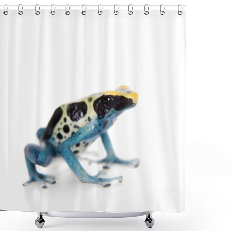 Personality  Patricia Dyeing Poison Dart Frog, Dendrobates Tinctorius, On White Shower Curtains