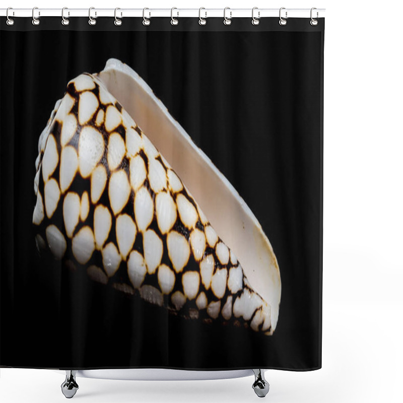 Personality  A Striking Close-up Of The Conus Marmoreus Shell, Showcasing Its Intricate Black-and-white Marbled Pattern On A Smooth Surface, Isolated Against A Sleek Black Background Shower Curtains