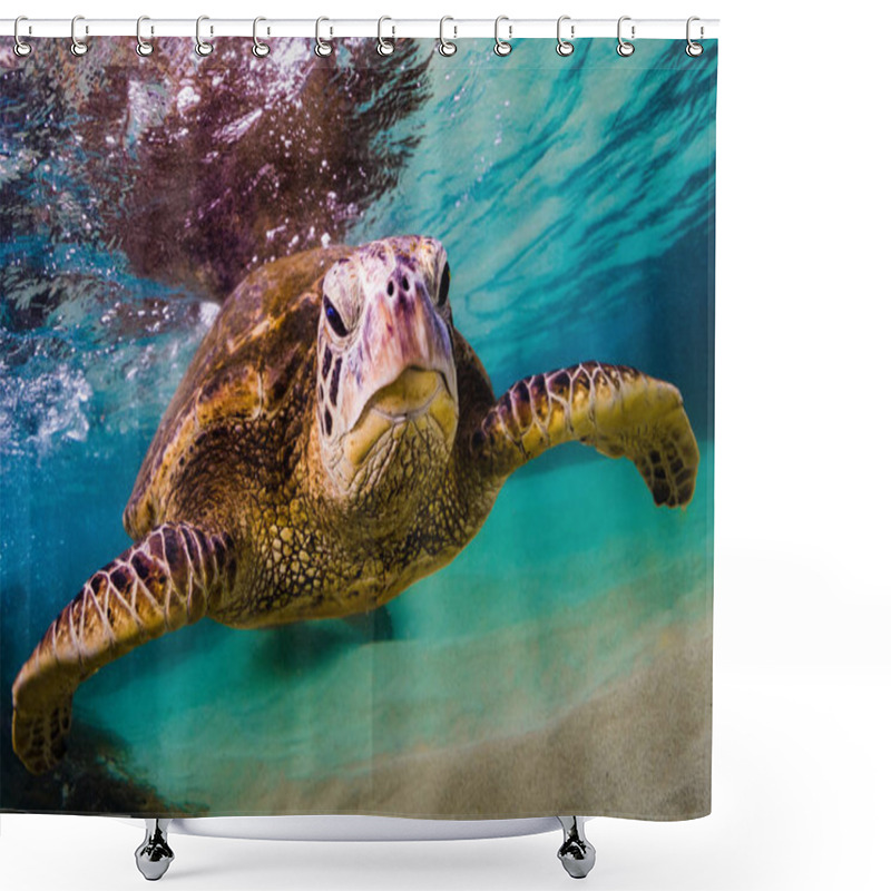 Personality  Hawaiian Green Sea Turtle Cruising In The Warm Waters Of The Pacific Ocean In Hawaii Shower Curtains