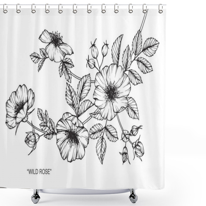 Personality  Wild Rose Flower. Drawing And Sketch With Black And White Line-art. Shower Curtains