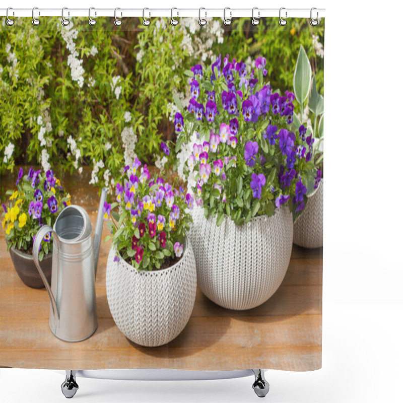 Personality  Beautiful Pansy Summer Flowers In Flowerpots In Garden Shower Curtains