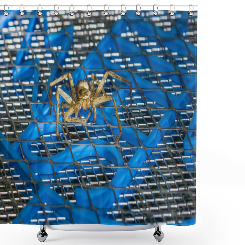 Personality  Brown Huntsman Spider On Electric Mosquito Bat  Shower Curtains