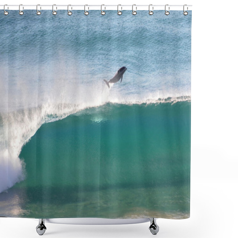 Personality  Dolphin Jumping High Out Wave Shower Curtains