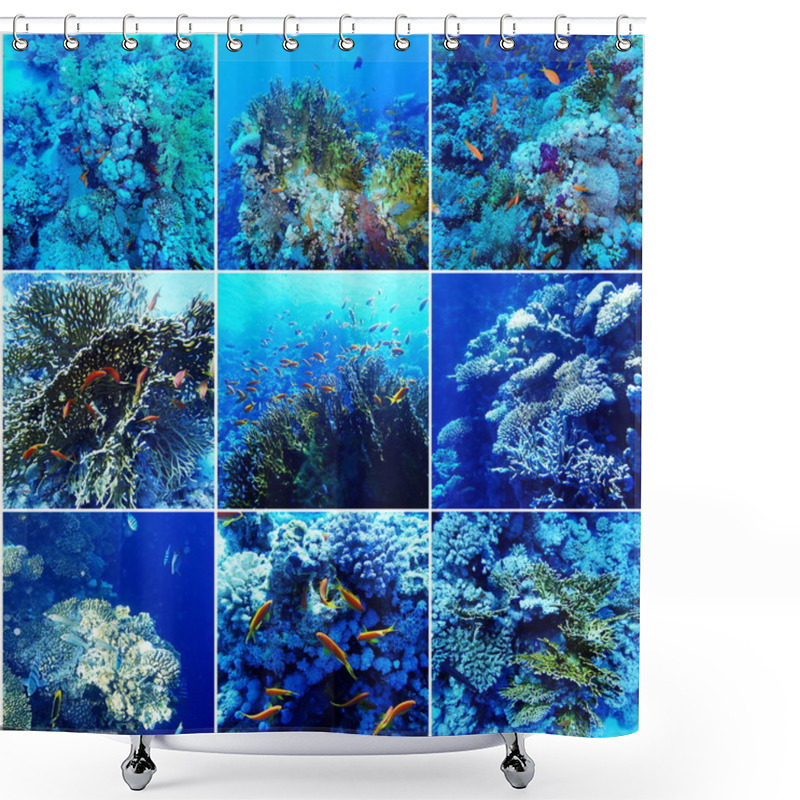 Personality  Underwater Sea Collage Shower Curtains