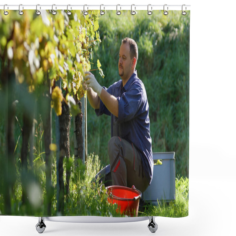 Personality  Vintner In The Vineyard Shower Curtains