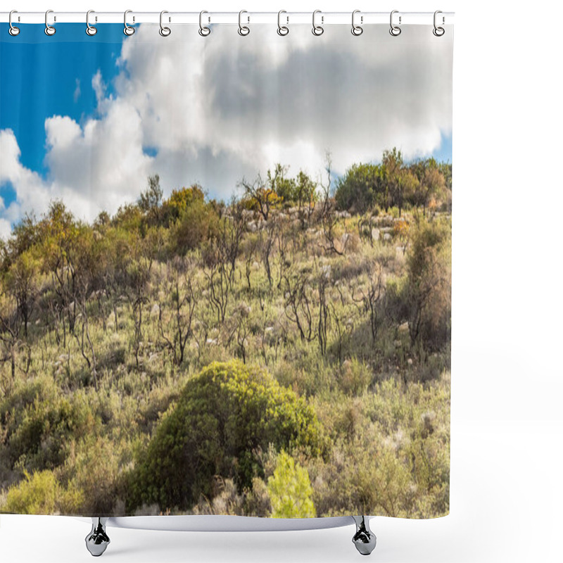 Personality  Powerful Image Of A Scorched Tree After A Forest Fire In The Cyprus Mountains, Highlighting The Devastating Impact Of Natural Disasters Shower Curtains