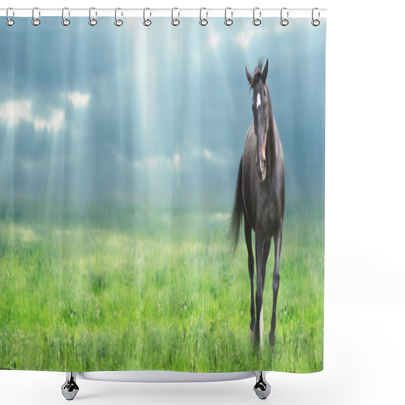 Personality  Running Black Horse Warmblooded At Morning Field, Banner Shower Curtains