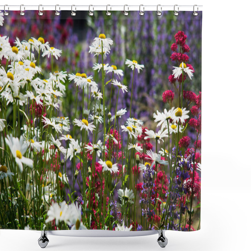 Personality  Daisies On Meadow,flowers And Plants In Summer Shower Curtains