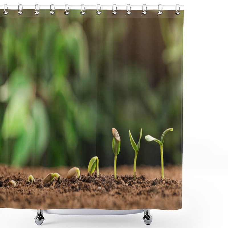 Personality  Little Green Seedlings Growing In Fertile Soil Against Blurred Background. Space For Text Shower Curtains