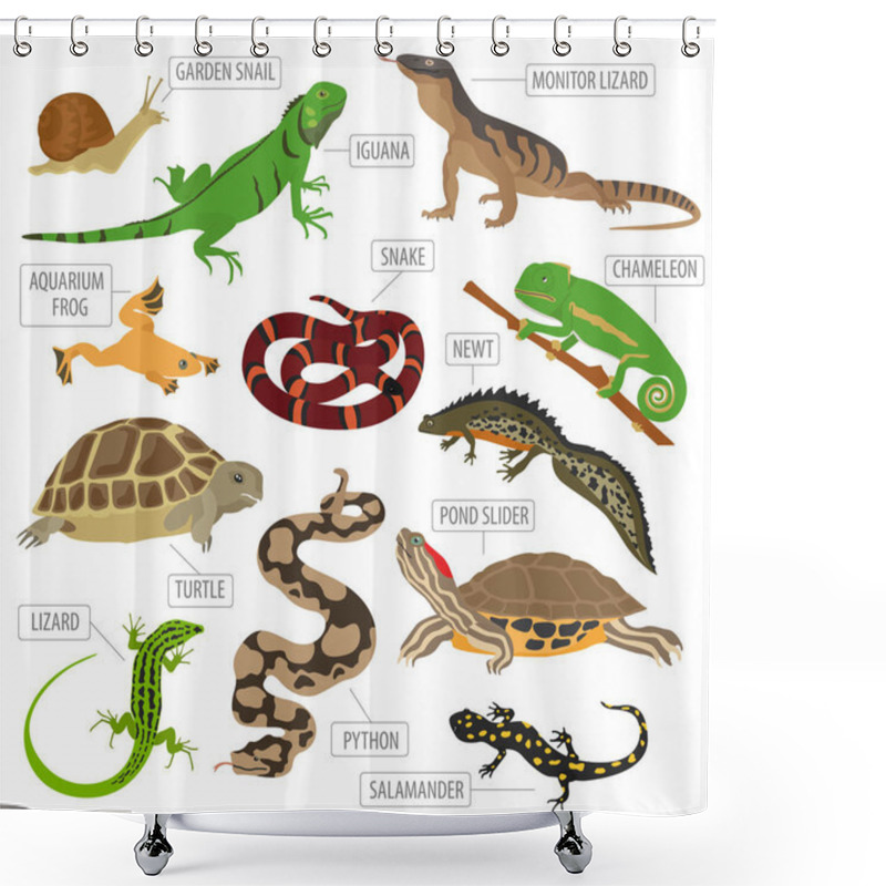 Personality  Pet Reptiles And Amphibians Icon Set Flat Style Isolated On Whit Shower Curtains