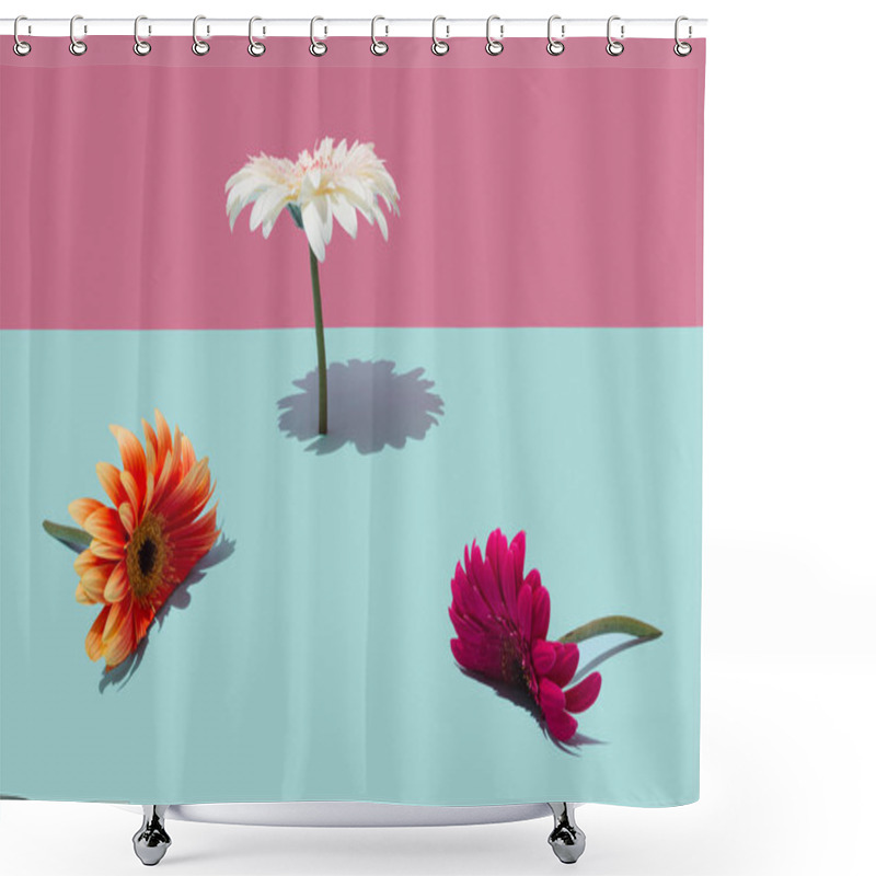 Personality  Creative Layout Made Of Spring Flowers With Copy Space. Nature Background. Season Minimal Idea. Shower Curtains