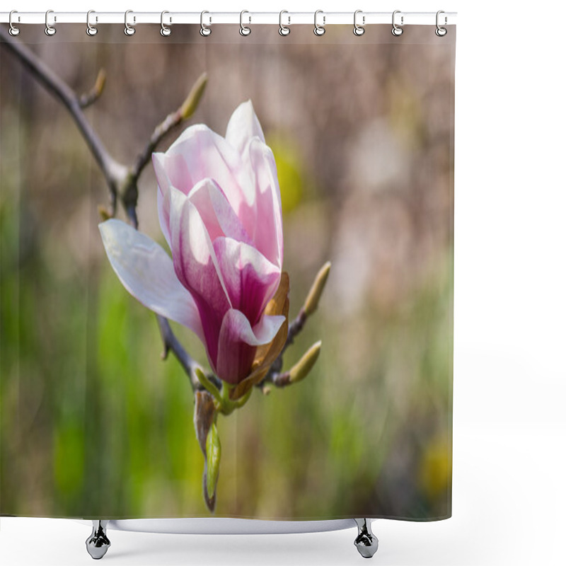 Personality  Magnolia Flower In Sunlight Shower Curtains